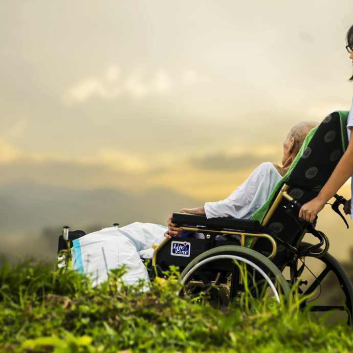 Frau im Rollstuhl wird in die Natur geschoben